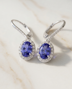 Tanzanite Halo Leverback Earring